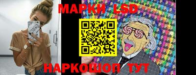 стафф Шелехов